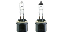 800 Series Straight Halogen Lamps